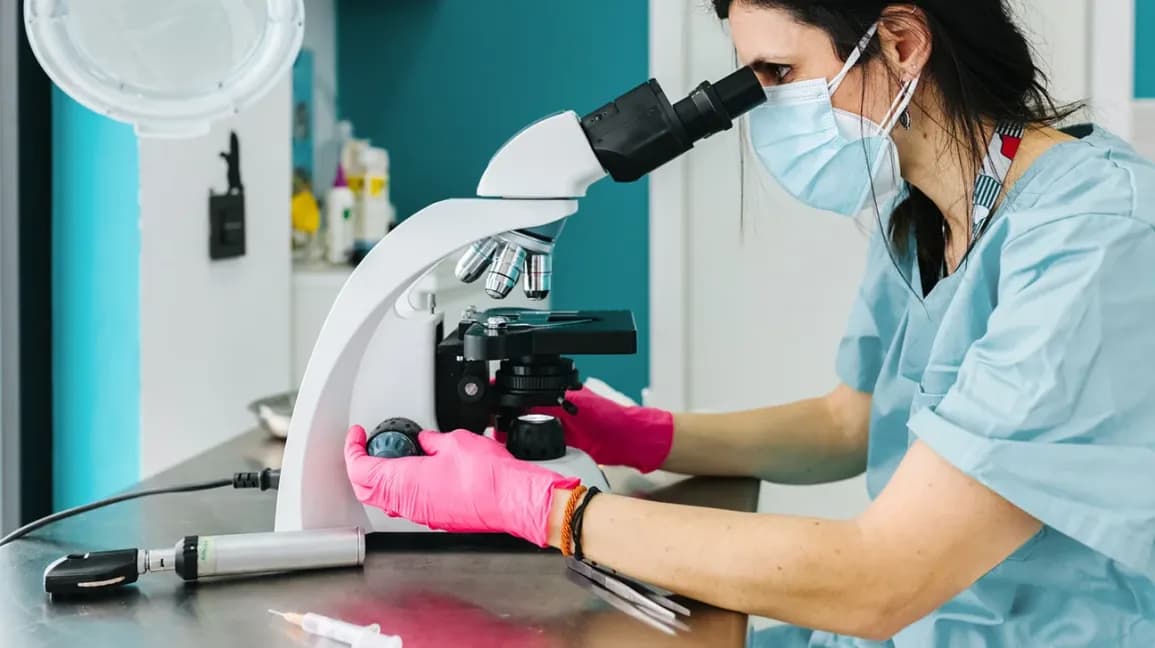 AI-Assisted Analysis of Histopathology Images